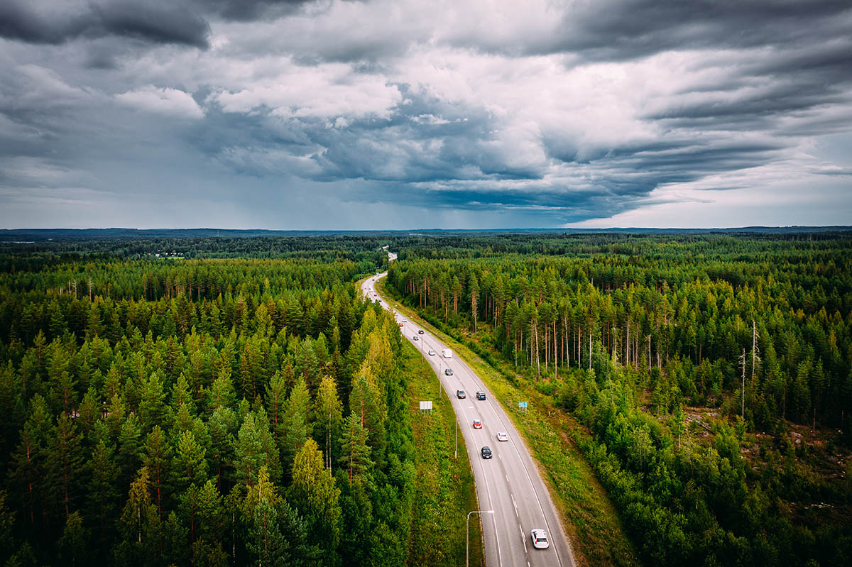 Tie ja metsää.